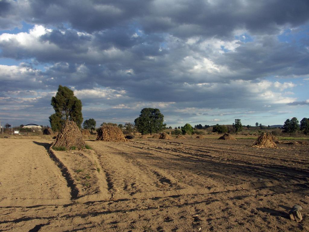 100214_Paso_de_Cortes 097.JPG